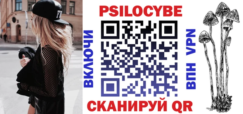Купить где  Заозёрск  Псилоцибиновые грибы Psilocybe 